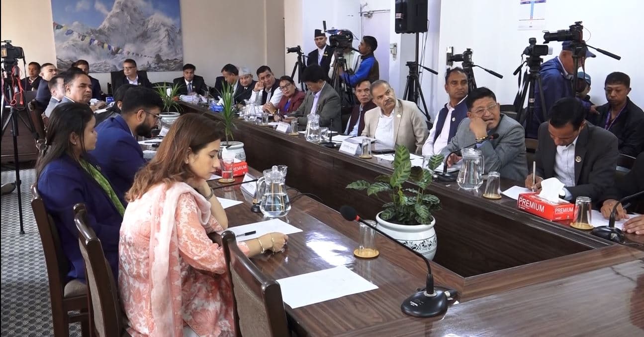 ‘आइपीओ निष्कासनअघि अत्यधिक नाफामा रहेको कम्पनी केहि महिनामै कसरी घाटामा जान्छ ?’