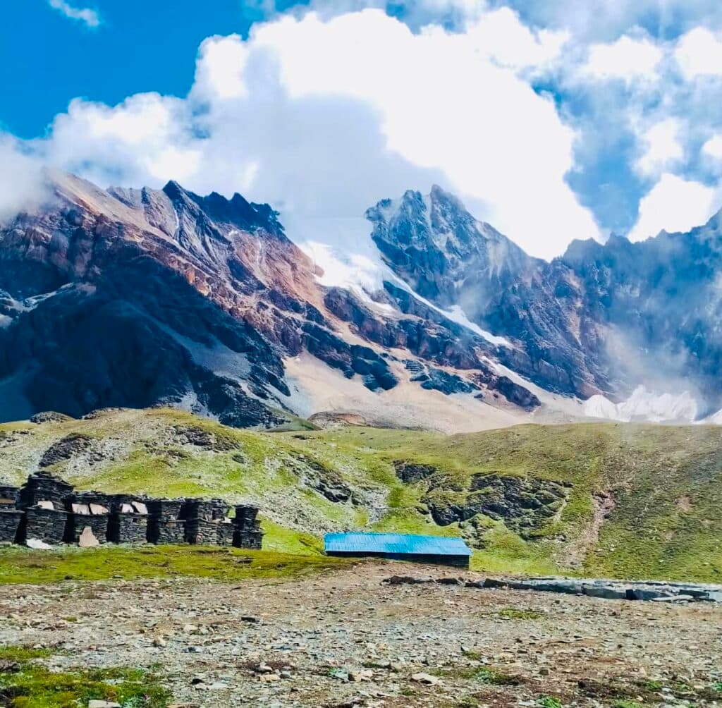 हिमाली पाटनमा हिउँ घट्दा यार्सागुम्बा सङ्कटमा