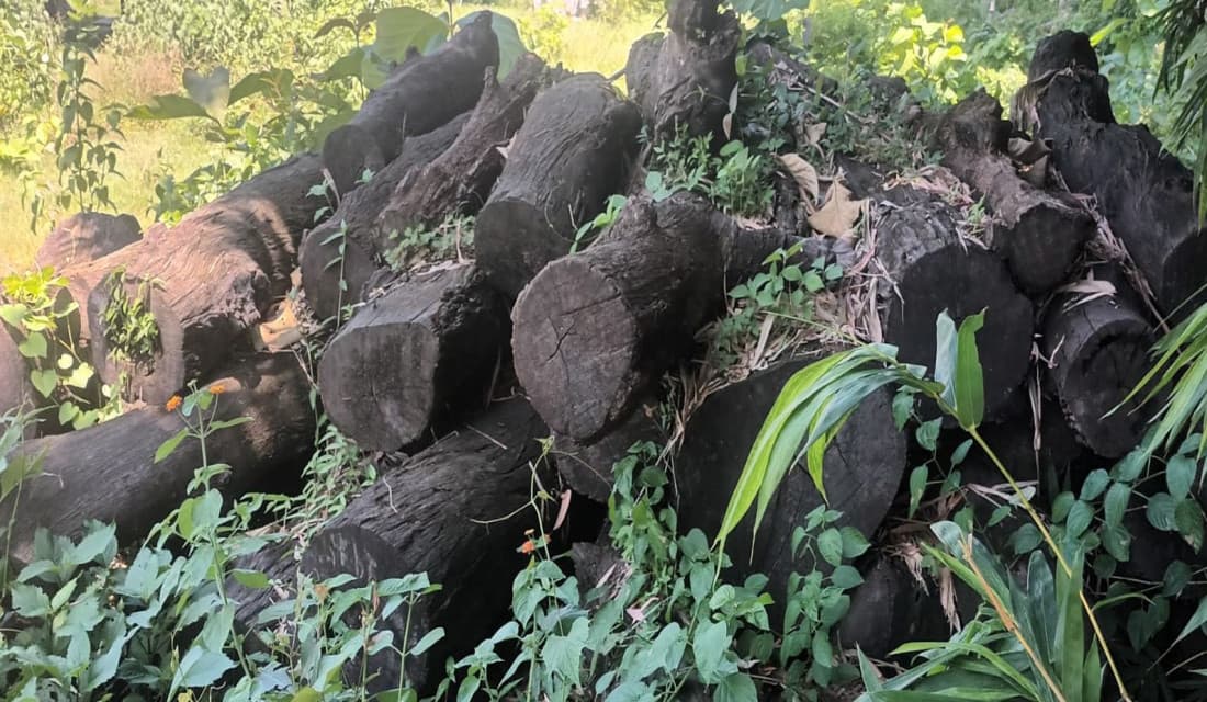 लिलाम बिक्री नगरिँदा सड्दै काठ