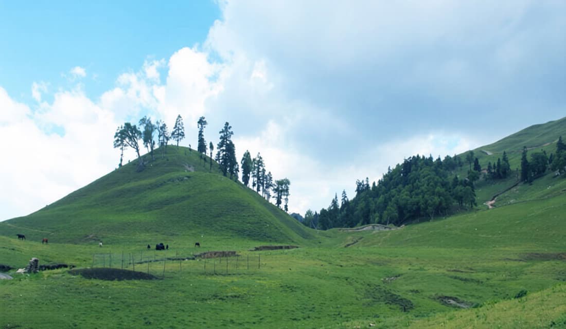 पाटन संरक्षणमा एक करोड