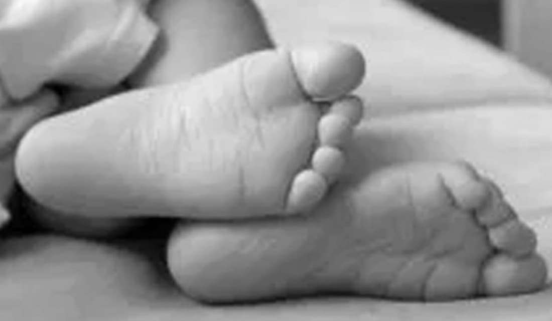 ट्याक्टरको हलोमा परेर मृत्यु