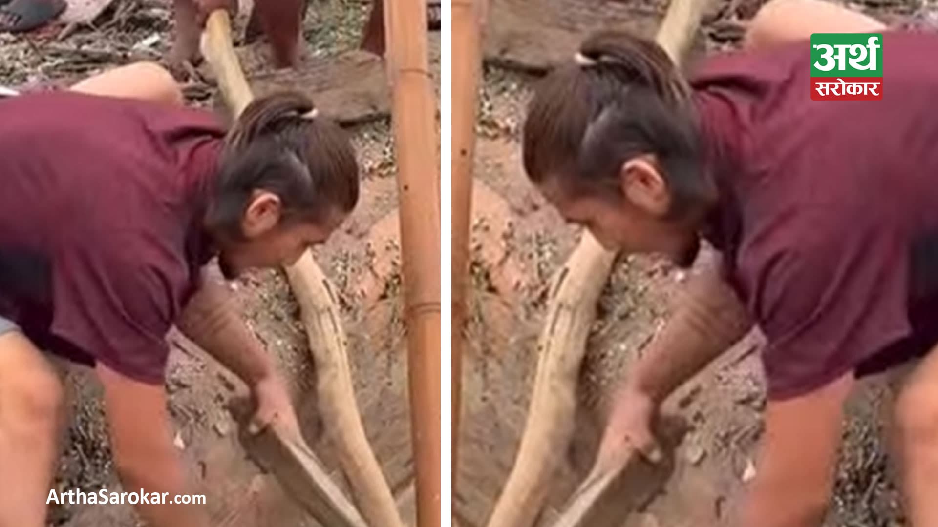 लासबाट सुनका गहना चोर्ने दुई जना पक्राउ