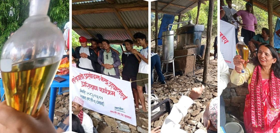 खेरजाने तितेपाती अब आम्दानीको स्रोत, तेल उत्पादनको तयारी
