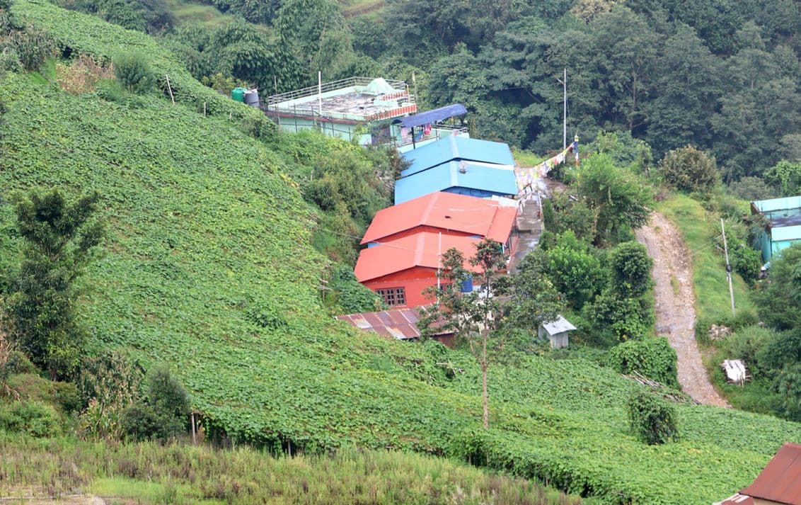 आहा ! पाखैभरी स्कुस, आम्दानीको आधार