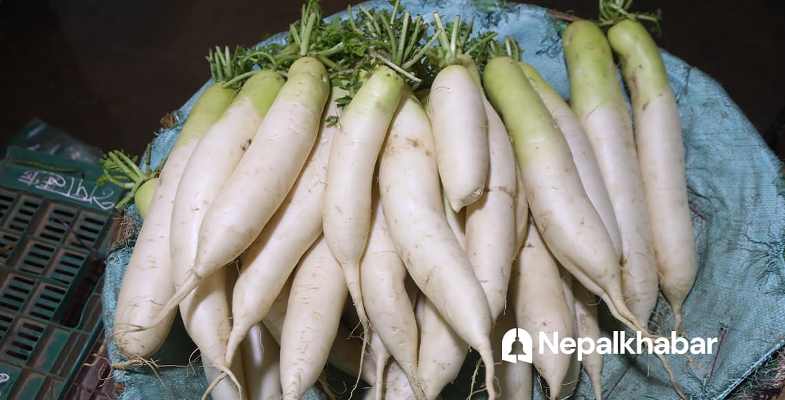 कालीमाटीमा मुलाको भाउ किलोको १७, डल्ले च्याउको ४२०, अरु तरकारीको कति?