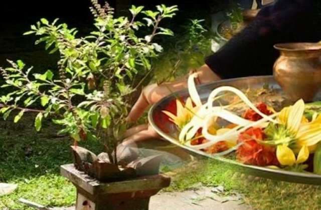 आज निर्जला एकादशी