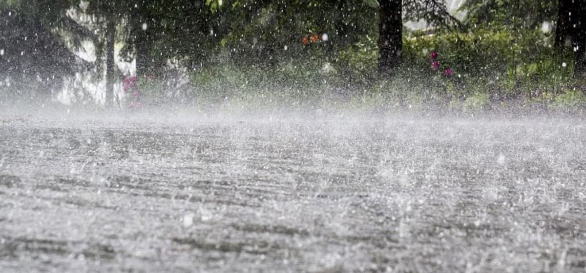 मनसुनी वायुको प्रभाव : आज यी प्रदेशमा मध्यमसम्मको वर्षाको सम्भावना
