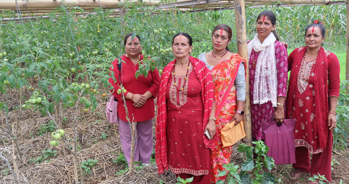 महिलाको सक्रियतामा तरकारीखेती
