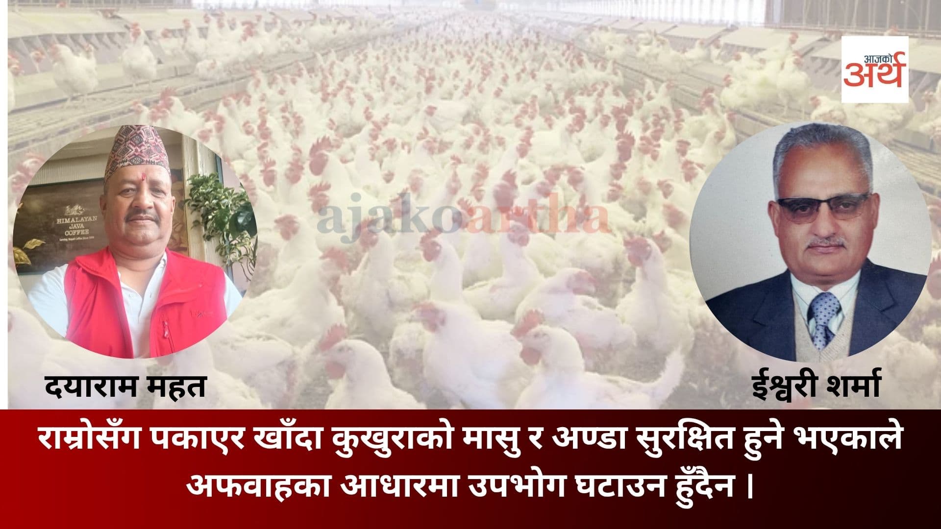 बर्ड फ्लु जोखिम : कुखुराको मासु र अण्डा बिक्रीमा कमी, व्यवसायी चिन्तित
