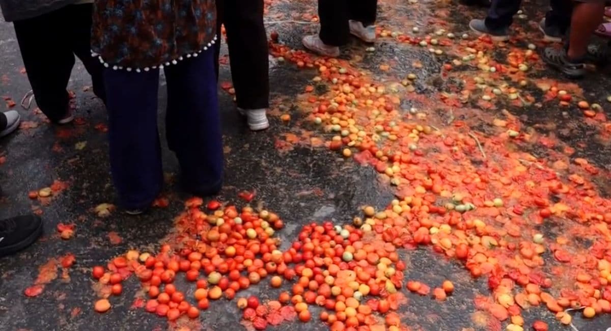 माइतीघरमा गोलभेडा फालेर किसान आन्दोलित