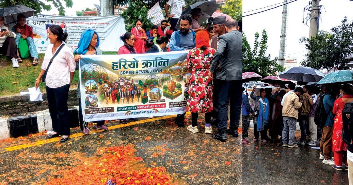 माइतीघरमा गोलभेँडा फालेर ‘हरियो क्रान्ति’