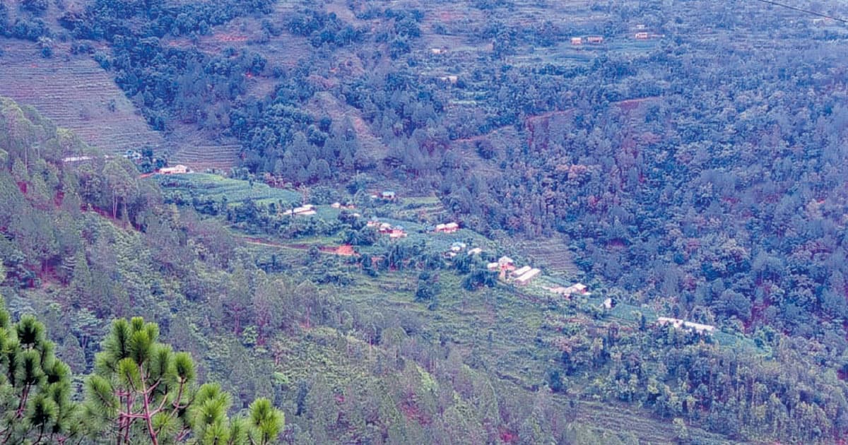 तरकारी खेतीले फेरिएको धनुबास
