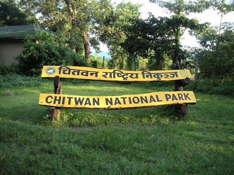 चितवन राष्ट्रिय निकुञ्ज र वन क्षेत्रमा एक वर्षमा मरे २२ गैँडा