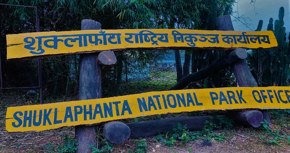सम्पर्कमा आए शुक्लाफाँटा राष्ट्रिय निकुञ्जभित्र च्याउ टिप्न गएका महिलाहरू