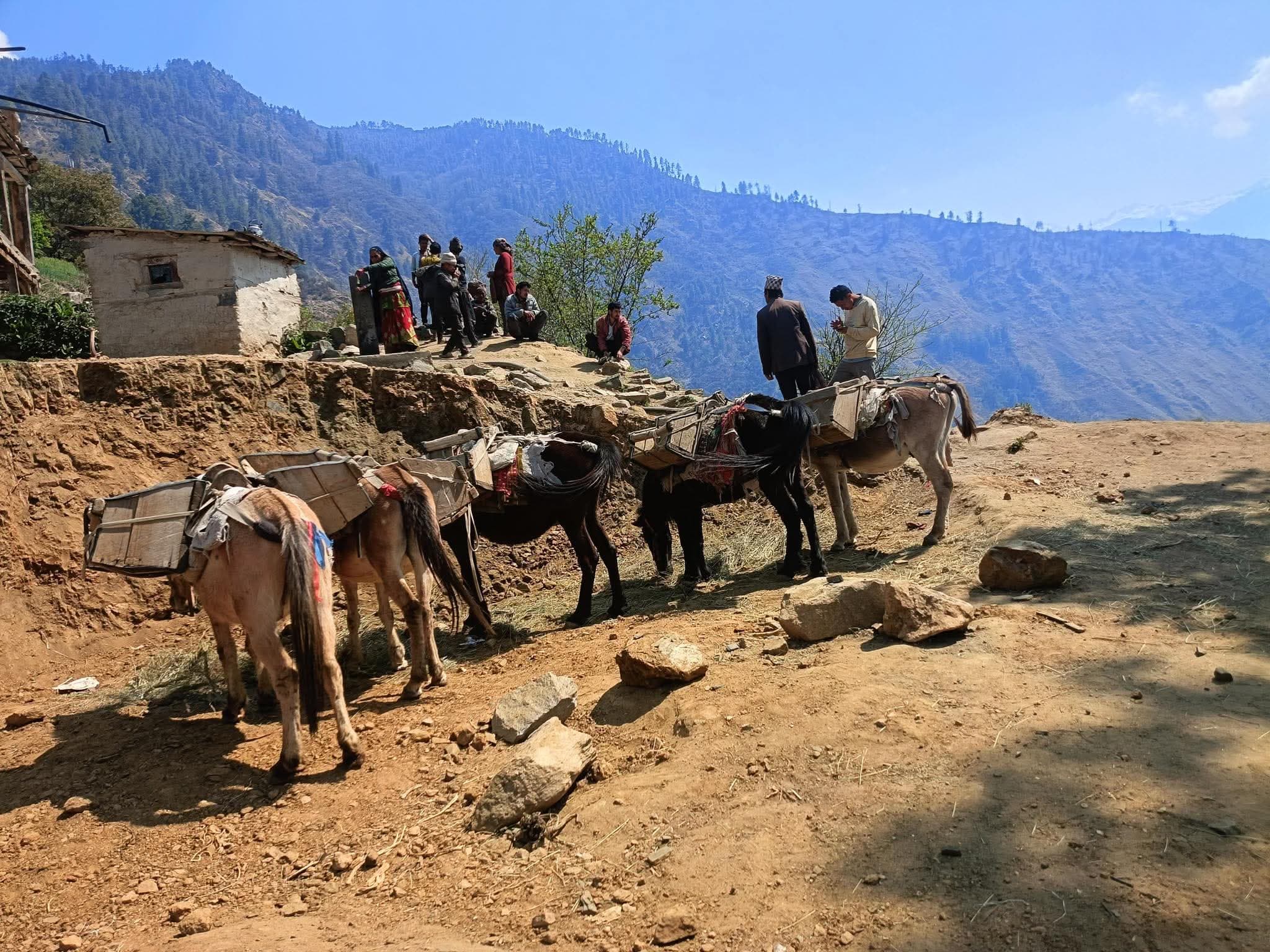 हराउँदै सामान ढुवानीका भर पर्दा साधन खच्चड