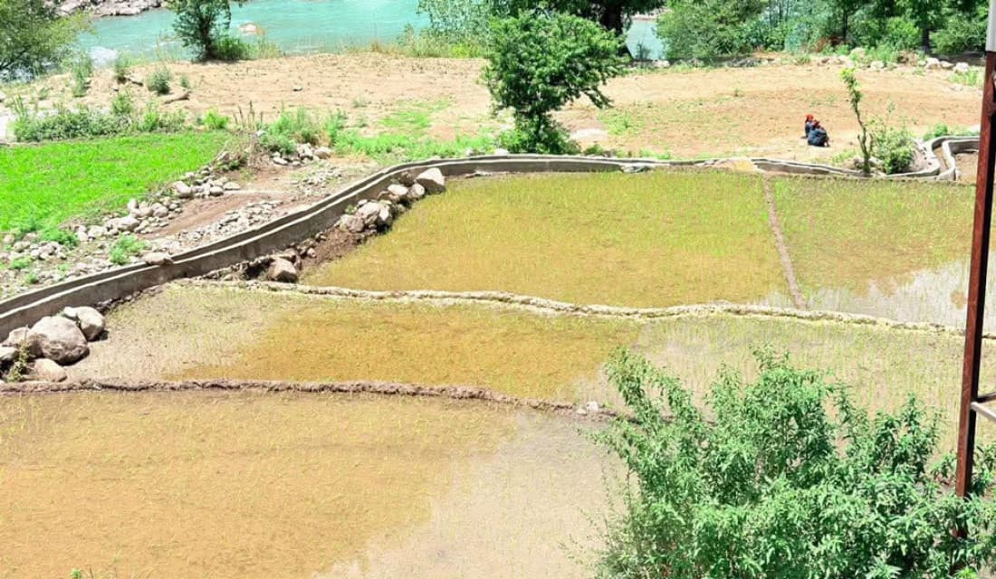 सिँचाइबाट किसान लाभान्वित