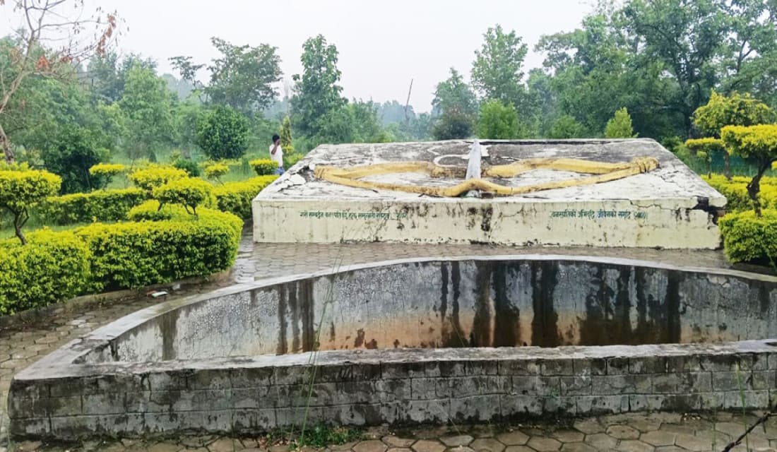 पर्यटक लोभ्याउँदै वनस्पति उद्यान