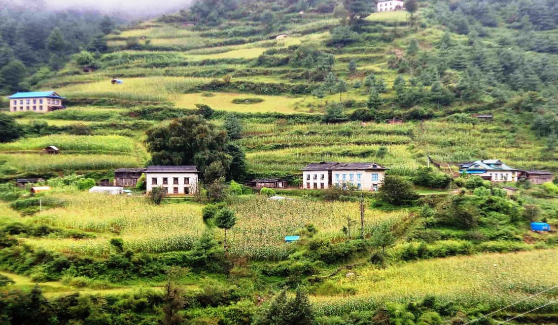 भालुको आतङ्कले हैरान हिमाली भेगका किसान
