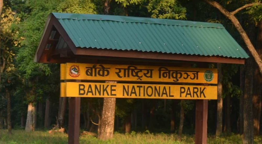 महेन्द्र राजमार्गको बाँके राष्ट्रिय निकुञ्ज पार गर्न न्यूनतम २१ देखि अधिकतम २४ मिनेट कायम!