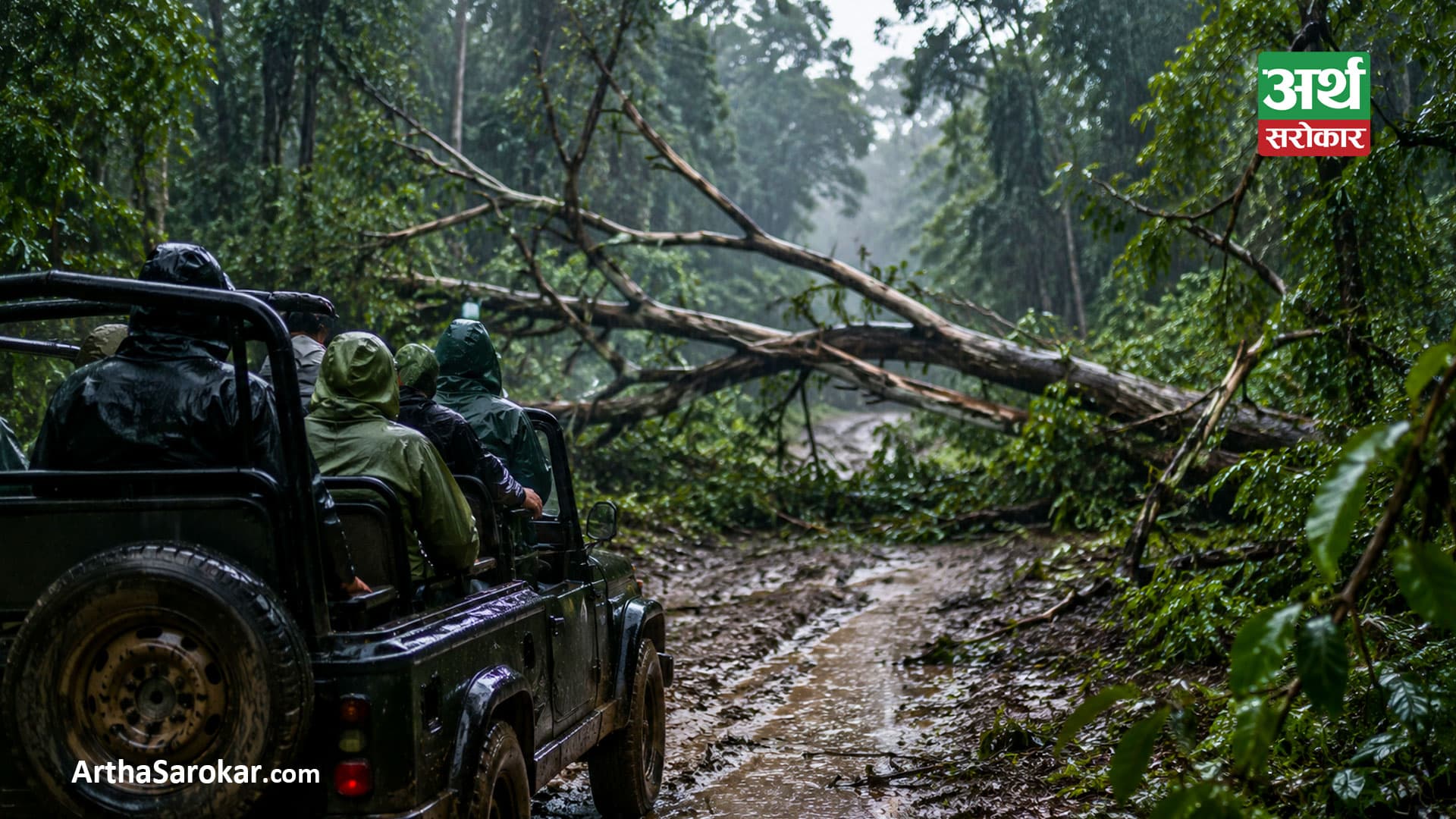 चितवन राष्ट्रिय निकुञ्जमा व्यावसायिक सफारी सेवा बन्द !
