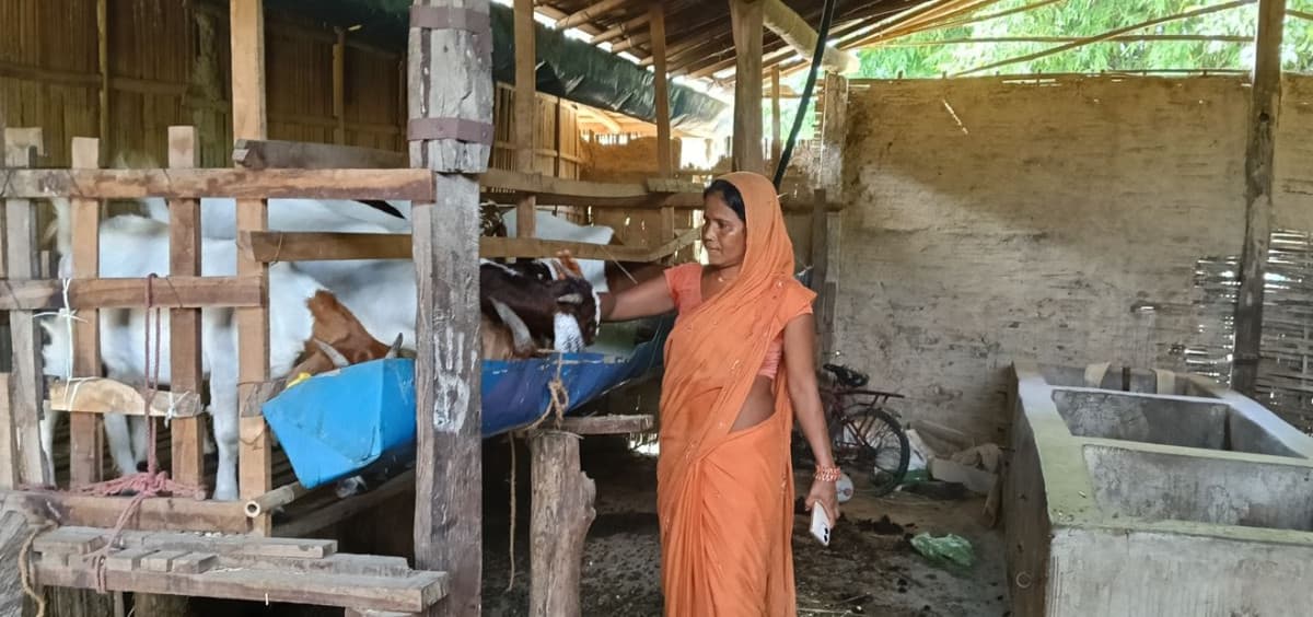 बाख्रापालनले बदल्यो ग्रामीण महिलाको जीवन, आत्मनिर्भरताको नयाँ कथा