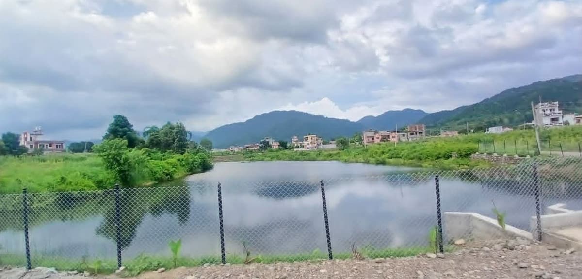 सिँचाइ सुविधासँगै फेरिँदै दाङको कृषि प्रणाली, बाँझा खेतमा बाह्रैमास खेती