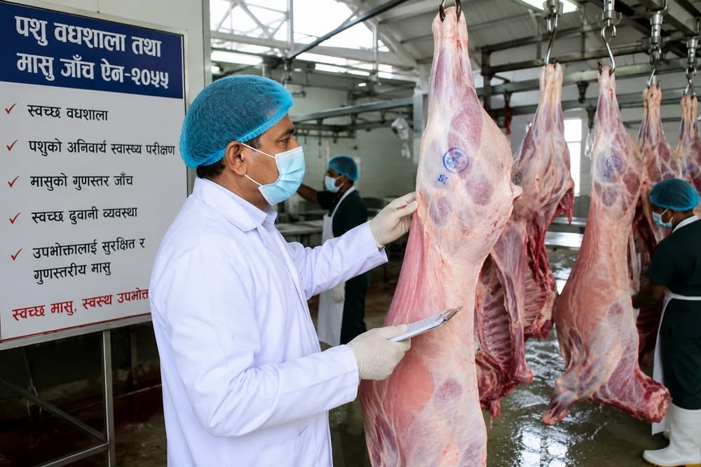 काठमाडौं उपत्यकामा मंसिरदेखि मासु जाँच अनिवार्य, देशभर लागू हुँदै नयाँ व्यवस्था
