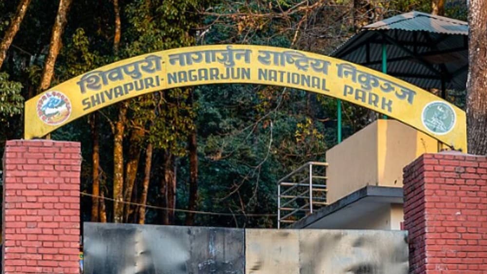 अब शिवपुरी-नागार्जुन प्रवेश गर्न लाइन होइन, ई–टिकेट