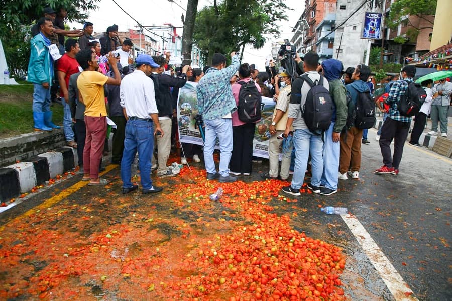 गोलभेँडाको मूल्य ८ रुपैयाँमा झर्दा किसानको विद्रोह