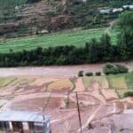 बाढीले चार हेक्टर धान, मकै र कोदो खेतीमा क्षति