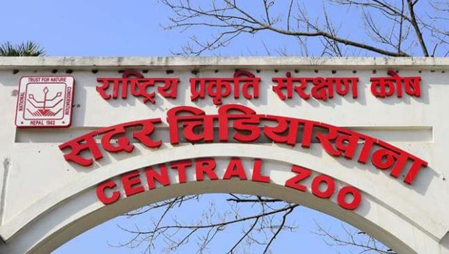 एक महिनापछि खुल्यो सदर चिडियाखाना