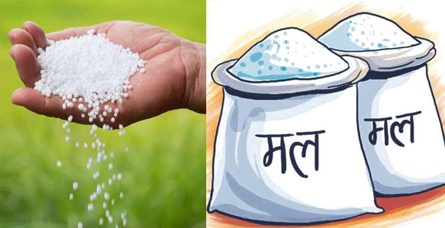 मल आपूर्ति ९४ प्रतिशत, गोदाममा अझै ९२ हजार मेट्रिक टन मौज्दात