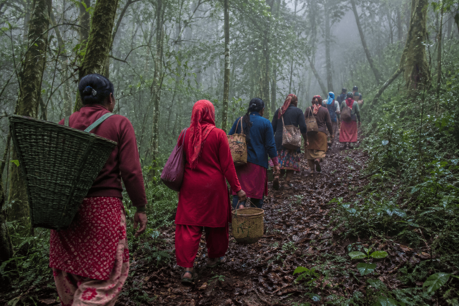 निकुञ्जमा च्याउ खोज्न गएका १४ महिला सम्पर्कविहीन