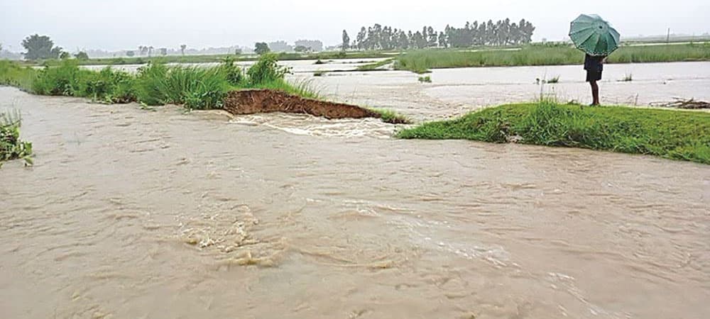दुई दिन अतिभारी वर्षाको सम्भावना, उच्च सतर्कता अपनाउन आग्रह