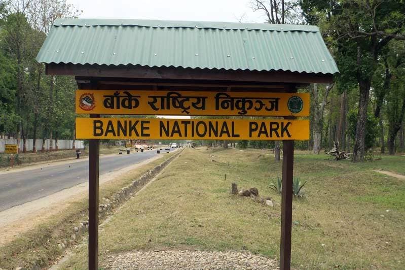 बाँके राष्ट्रिय निकुञ्जमा पूर्वसूचना प्रणाली जडान