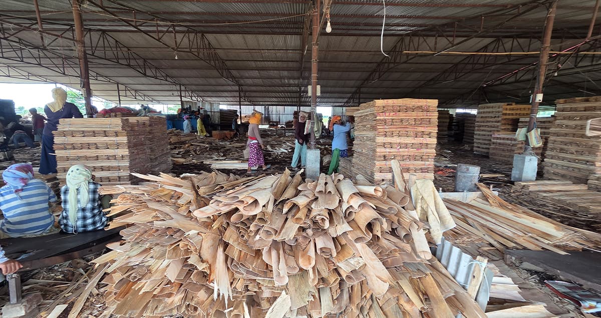 भेनियर उत्पादनसँगै स्थानीय रोजगारी बढाउँदै प्लाइ उद्योग