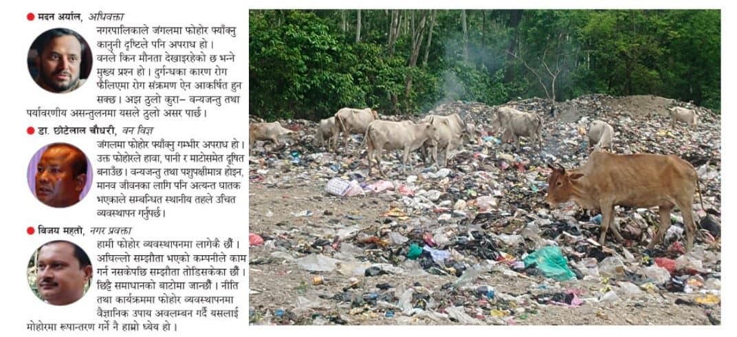 मोहोरको सपना बेचेर जंगलमा फोहोर !