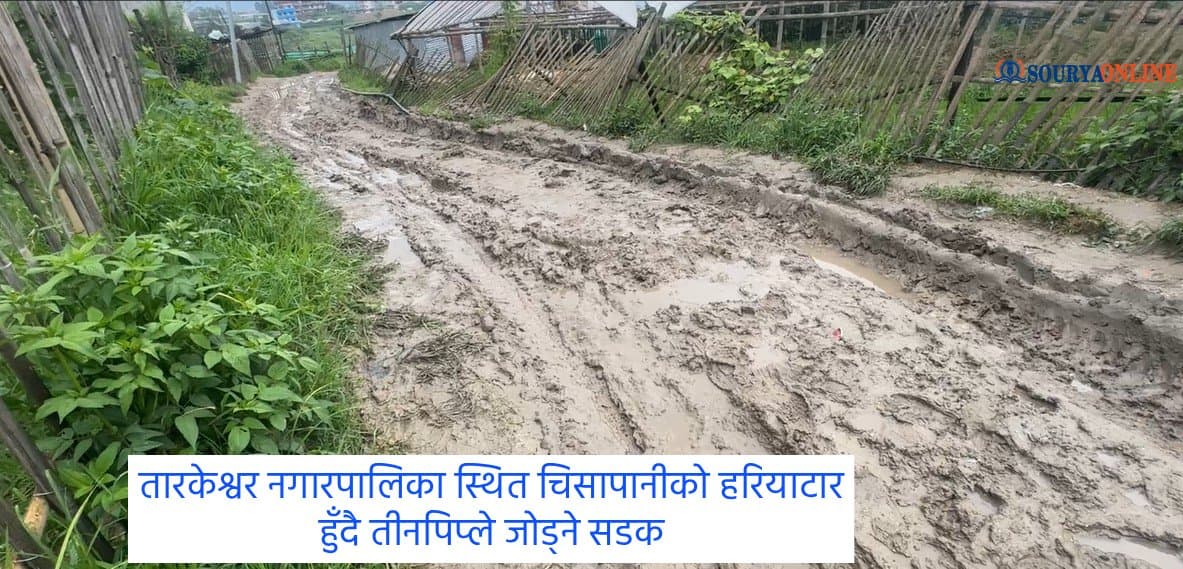 संघीय राजधानीकै सडक हिलाम्ये (भिडियाे)